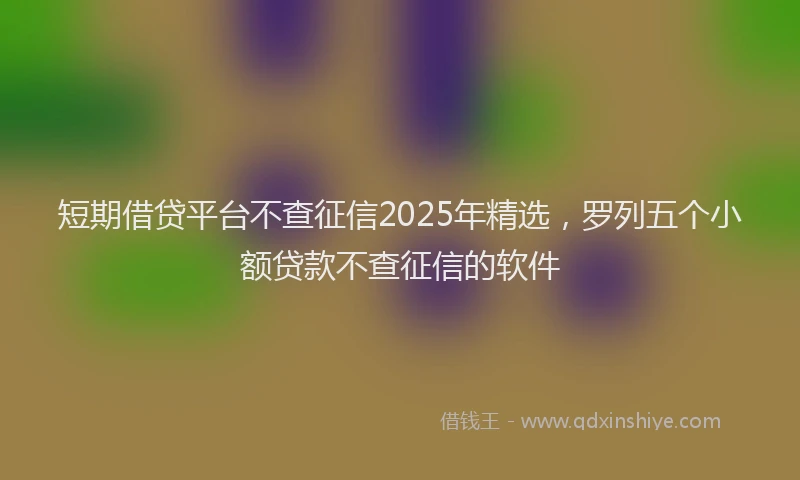 短期借贷平台不查征信2025年精选，罗列五个小额贷款不查征信的软件