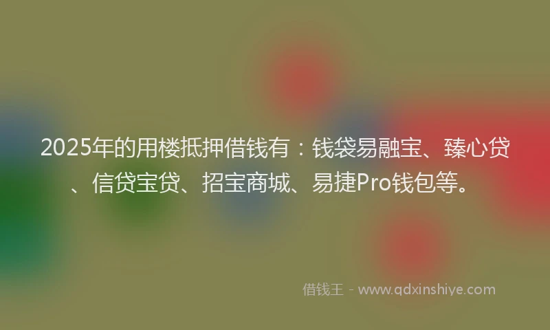 2025年的用楼抵押借钱有：钱袋易融宝、臻心贷、信贷宝贷、招宝商城、易捷Pro钱包等。
