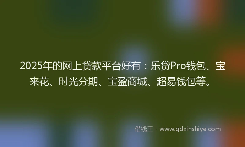 2025年的网上贷款平台好有：乐贷Pro钱包、宝来花、时光分期、宝盈商城、超易钱包等。