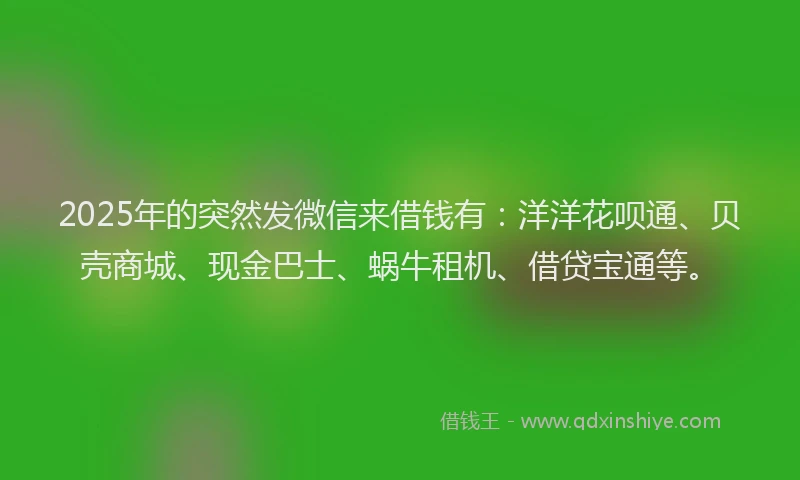 2025年的突然发微信来借钱有：洋洋花呗通、贝壳商城、现金巴士、蜗牛租机、借贷宝通等。