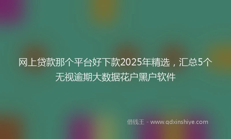 网上贷款那个平台好下款2025年精选，汇总5个无视逾期大数据花户黑户软件