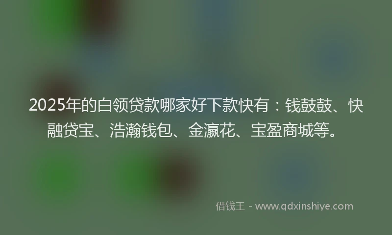 2025年的白领贷款哪家好下款快有：钱鼓鼓、快融贷宝、浩瀚钱包、金瀛花、宝盈商城等。