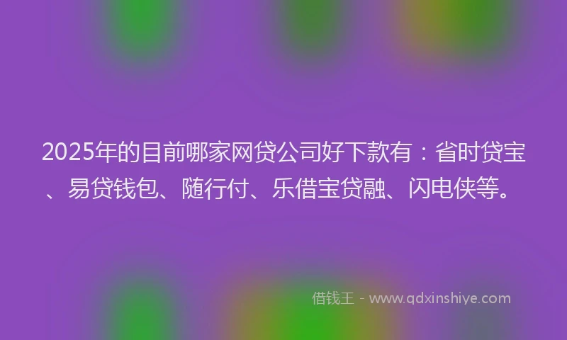2025年的目前哪家网贷公司好下款有：省时贷宝、易贷钱包、随行付、乐借宝贷融、闪电侠等。
