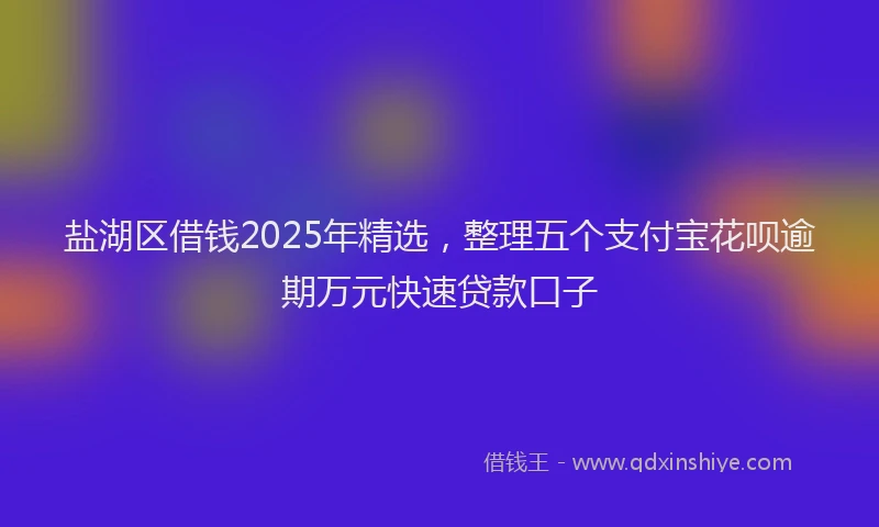 盐湖区借钱2025年精选，整理五个支付宝花呗逾期万元快速贷款口子