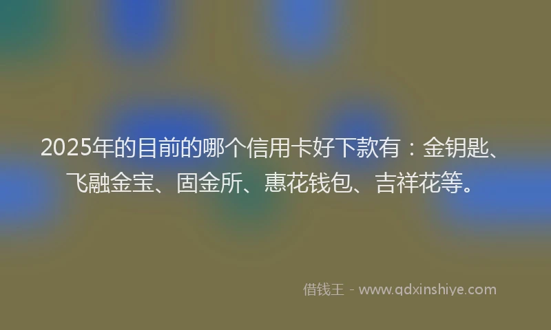 2025年的目前的哪个信用卡好下款有：金钥匙、飞融金宝、固金所、惠花钱包、吉祥花等。
