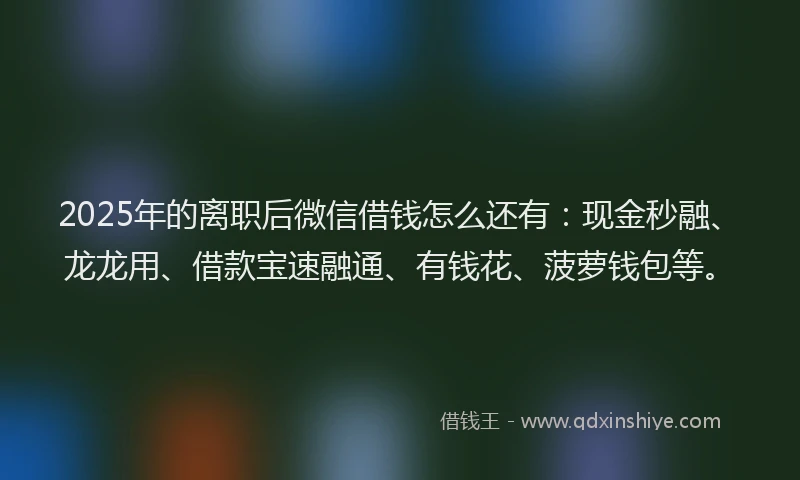 2025年的离职后微信借钱怎么还有：现金秒融、龙龙用、借款宝速融通、有钱花、菠萝钱包等。