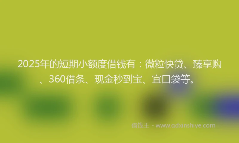 2025年的短期小额度借钱有：微粒快贷、臻享购、360借条、现金秒到宝、宜口袋等。