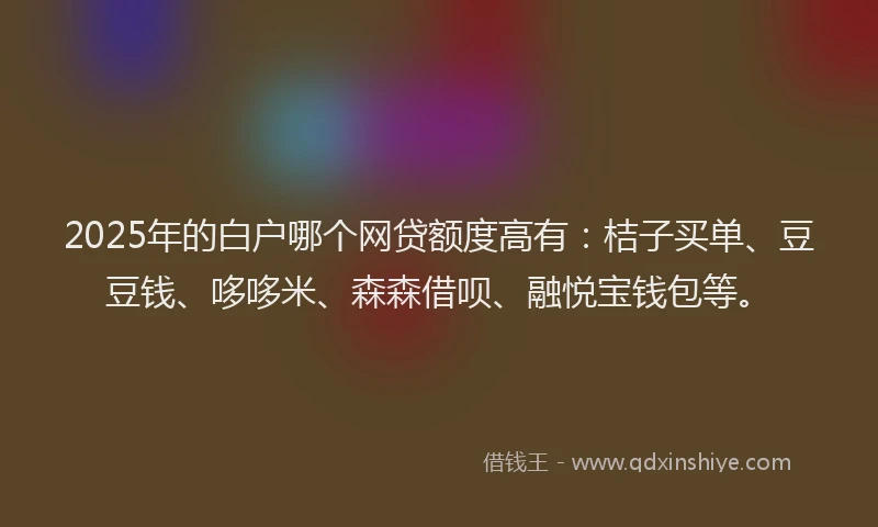 2025年的白户哪个网贷额度高有：桔子买单、豆豆钱、哆哆米、森森借呗、融悦宝钱包等。