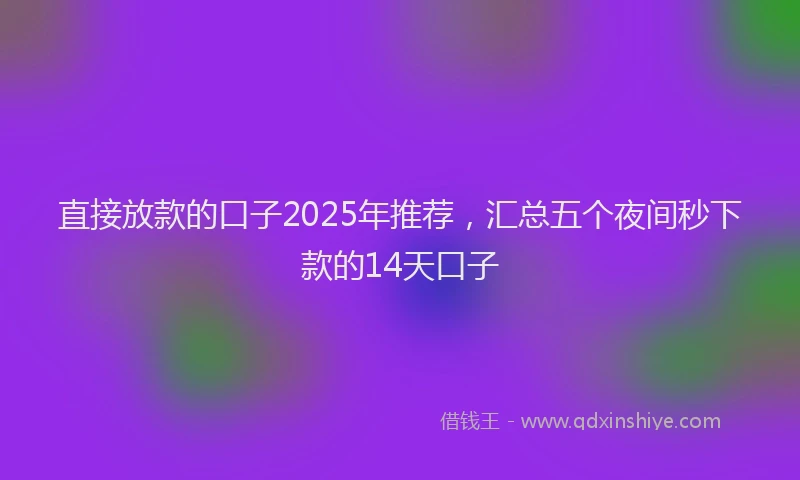 直接放款的口子2025年推荐，汇总五个夜间秒下款的14天口子