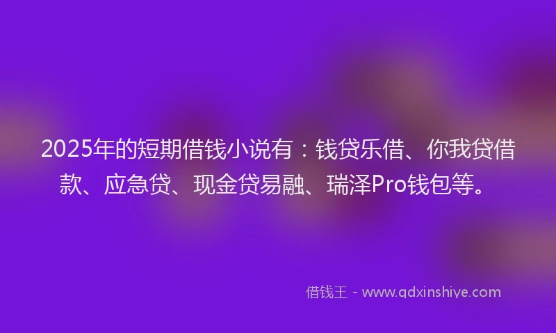 2025年的短期借钱小说有：钱贷乐借、你我贷借款、应急贷、现金贷易融、瑞泽Pro钱包等。