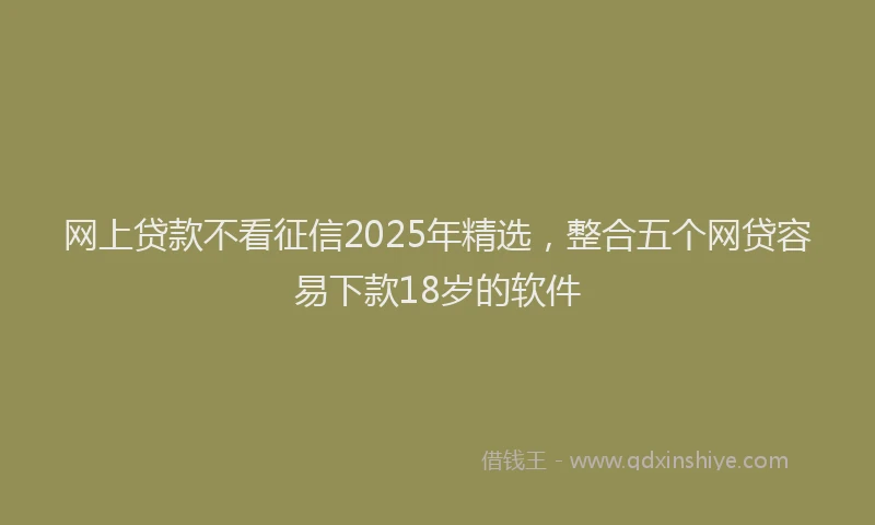 网上贷款不看征信2025年精选，整合五个网贷容易下款18岁的软件