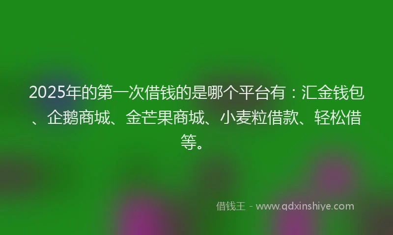 2025年的第一次借钱的是哪个平台有：汇金钱包、企鹅商城、金芒果商城、小麦粒借款、轻松借等。