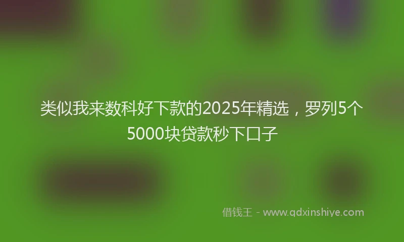 类似我来数科好下款的2025年精选，罗列5个5000块贷款秒下口子