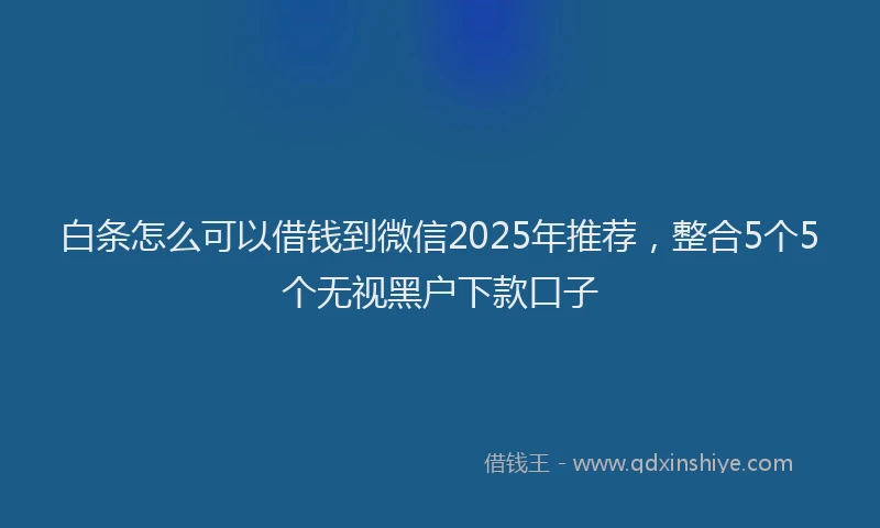白条怎么可以借钱到微信2025年推荐，整合5个5个无视黑户下款口子