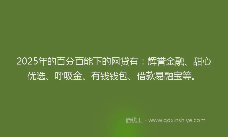 2025年的百分百能下的网贷有：辉誉金融、甜心优选、呼吸金、有钱钱包、借款易融宝等。