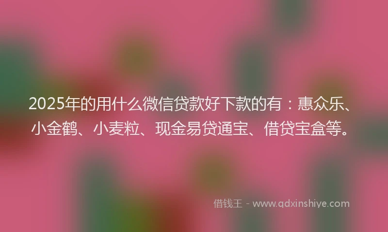 2025年的用什么微信贷款好下款的有：惠众乐、小金鹤、小麦粒、现金易贷通宝、借贷宝盒等。