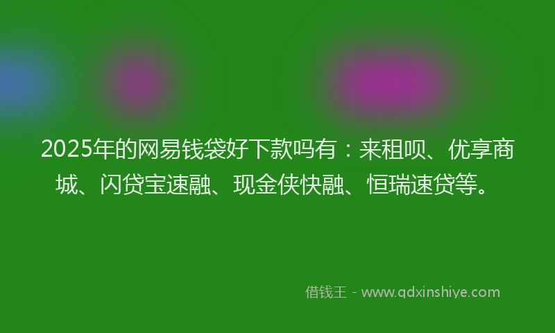 2025年的网易钱袋好下款吗有：来租呗、优享商城、闪贷宝速融、现金侠快融、恒瑞速贷等。