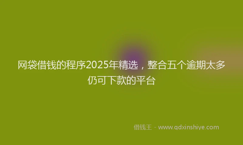网袋借钱的程序2025年精选，整合五个逾期太多仍可下款的平台
