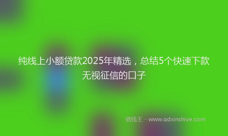 纯线上小额贷款2025年精选，总结5个快速下款无视征信的口子