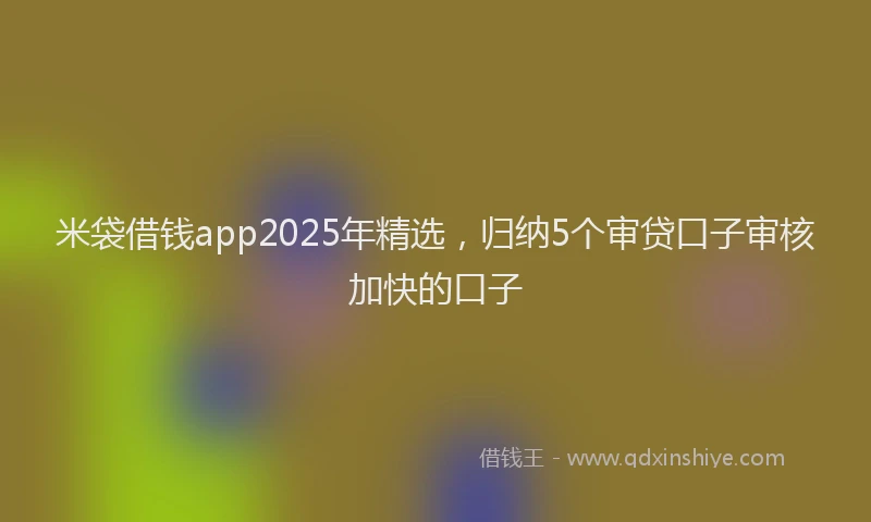 米袋借钱app2025年精选，归纳5个审贷口子审核加快的口子