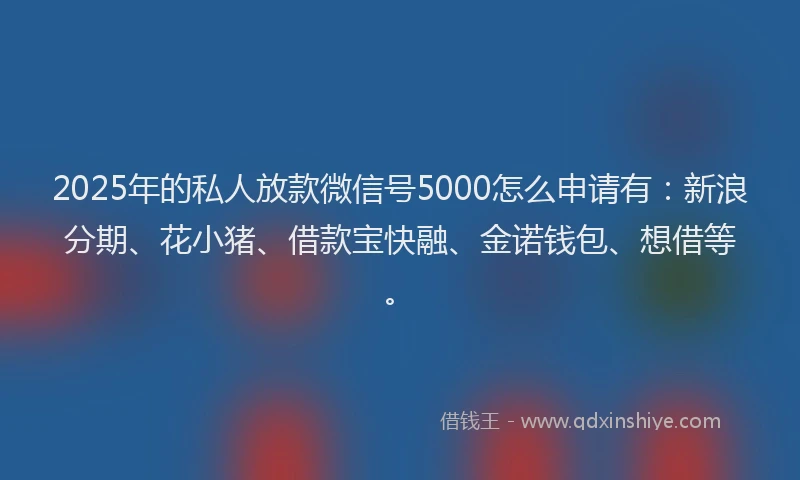 2025年的私人放款微信号5000怎么申请有：新浪分期、花小猪、借款宝快融、金诺钱包、想借等。