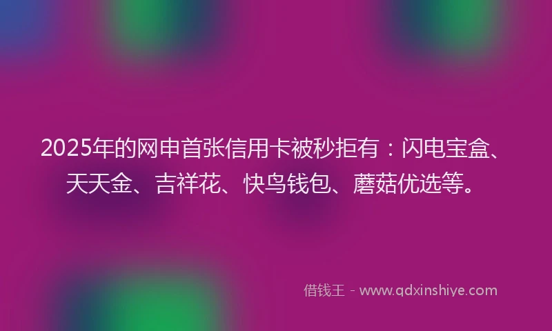 2025年的网申首张信用卡被秒拒有：闪电宝盒、天天金、吉祥花、快鸟钱包、蘑菇优选等。