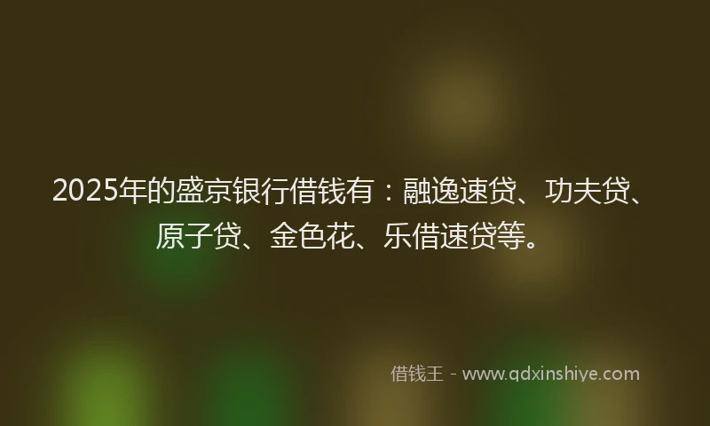 2025年的盛京银行借钱有：融逸速贷、功夫贷、原子贷、金色花、乐借速贷等。