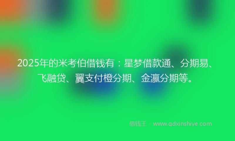 2025年的米考伯借钱有：星梦借款通、分期易、飞融贷、翼支付橙分期、金瀛分期等。