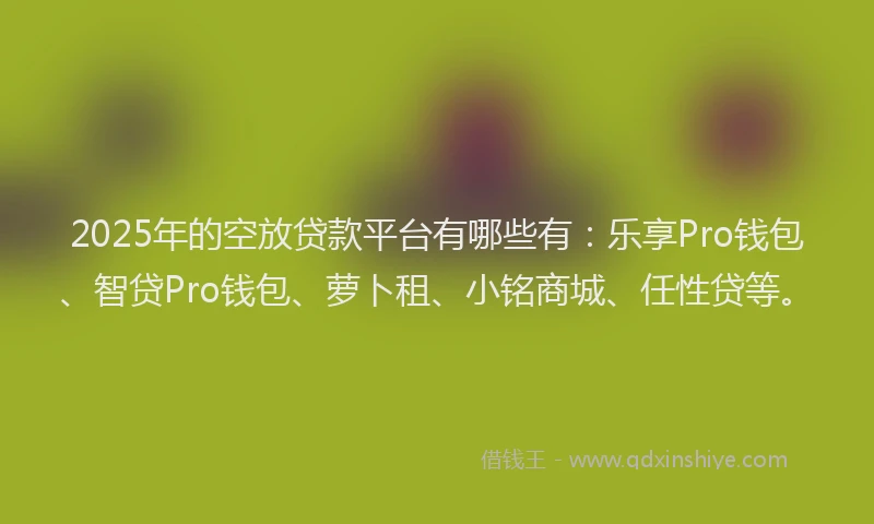 2025年的空放贷款平台有哪些有：乐享Pro钱包、智贷Pro钱包、萝卜租、小铭商城、任性贷等。