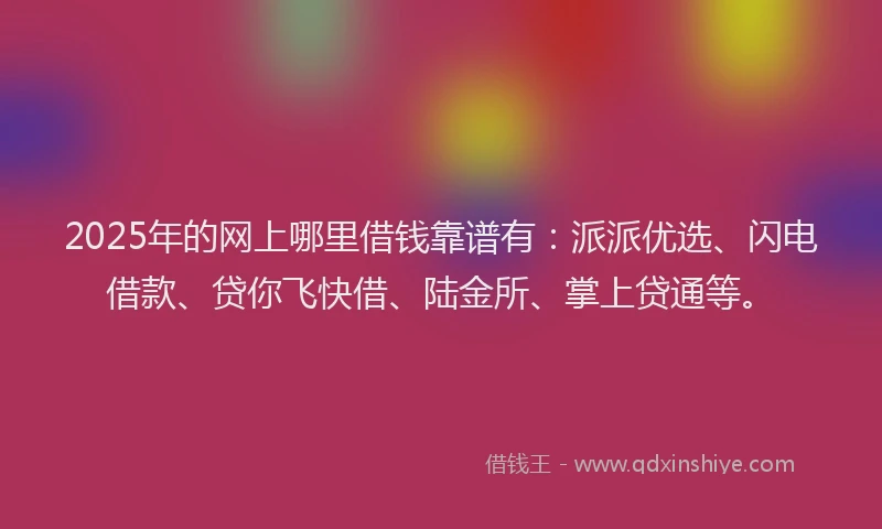2025年的网上哪里借钱靠谱有：派派优选、闪电借款、贷你飞快借、陆金所、掌上贷通等。