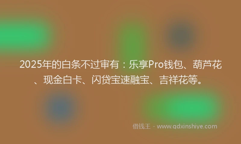 2025年的白条不过审有：乐享Pro钱包、葫芦花、现金白卡、闪贷宝速融宝、吉祥花等。