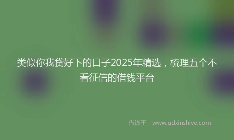 类似你我贷好下的口子2025年精选，梳理五个不看征信的借钱平台