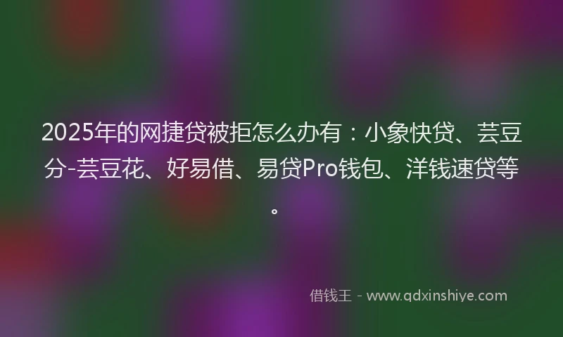 2025年的网捷贷被拒怎么办有：小象快贷、芸豆分-芸豆花、好易借、易贷Pro钱包、洋钱速贷等。