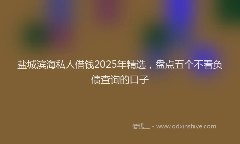 盐城滨海私人借钱2025年精选，盘点五个不看负债查询的口子