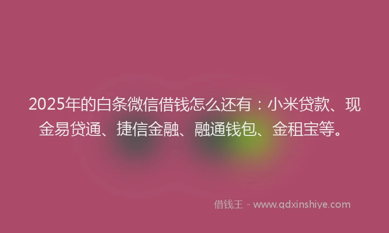 2025年的白条微信借钱怎么还有：小米贷款、现金易贷通、捷信金融、融通钱包、金租宝等。