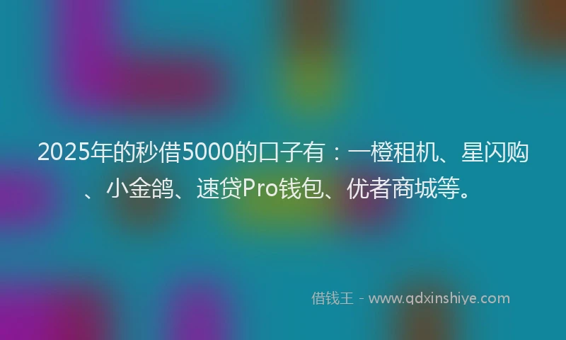 2025年的秒借5000的口子有：一橙租机、星闪购、小金鸽、速贷Pro钱包、优者商城等。