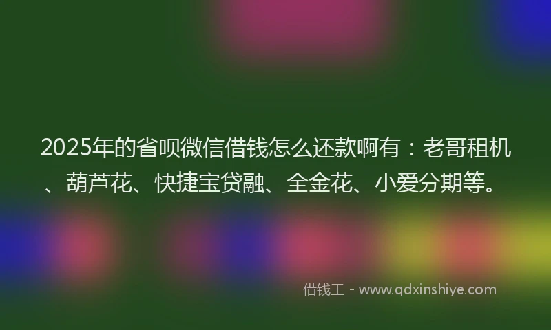 2025年的省呗微信借钱怎么还款啊有：老哥租机、葫芦花、快捷宝贷融、全金花、小爱分期等。