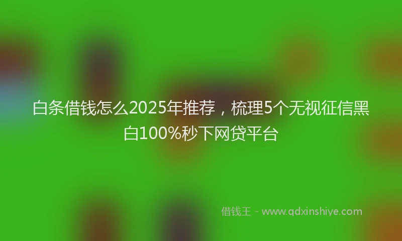 白条借钱怎么2025年推荐，梳理5个无视征信黑白100%秒下网贷平台