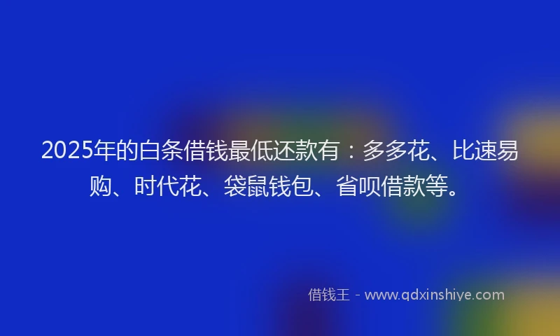 2025年的白条借钱最低还款有：多多花、比速易购、时代花、袋鼠钱包、省呗借款等。