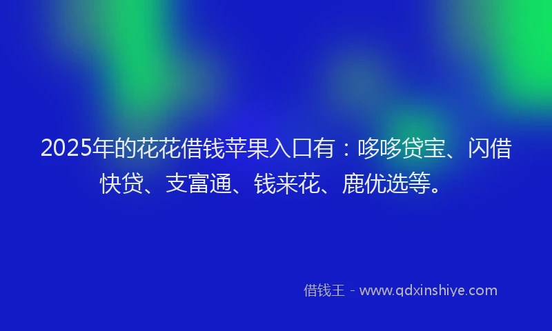 2025年的花花借钱苹果入口有：哆哆贷宝、闪借快贷、支富通、钱来花、鹿优选等。
