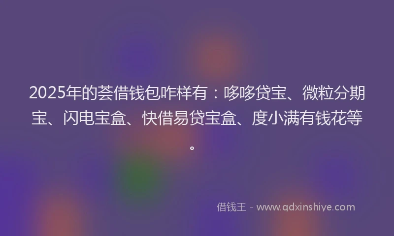 2025年的荟借钱包咋样有：哆哆贷宝、微粒分期宝、闪电宝盒、快借易贷宝盒、度小满有钱花等。