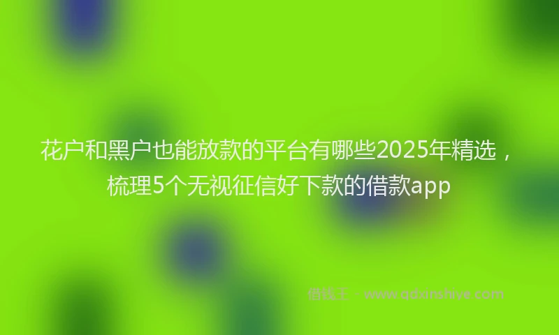 花户和黑户也能放款的平台有哪些2025年精选，梳理5个无视征信好下款的借款app