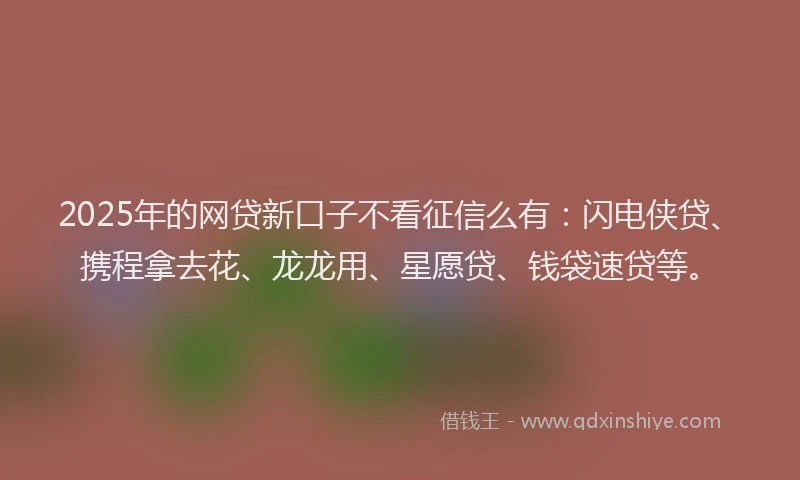 2025年的网贷新口子不看征信么有：闪电侠贷、携程拿去花、龙龙用、星愿贷、钱袋速贷等。
