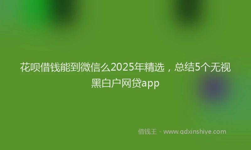 花呗借钱能到微信么2025年精选，总结5个无视黑白户网贷app