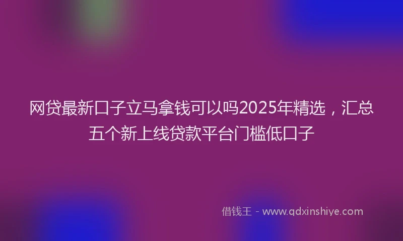 网贷最新口子立马拿钱可以吗2025年精选，汇总五个新上线贷款平台门槛低口子