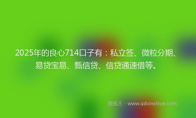 2025年的良心714口子有：私立签、微粒分期、易贷宝易、甄信贷、信贷通速借等。
