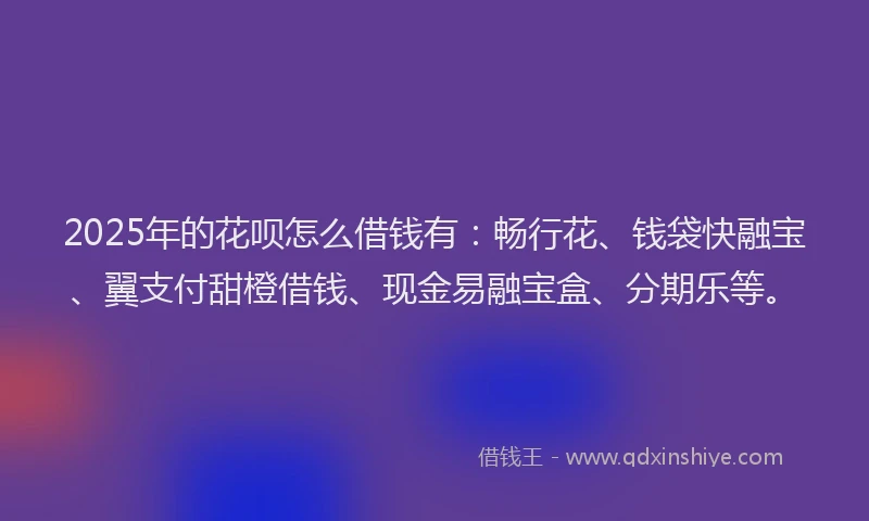 2025年的花呗怎么借钱有：畅行花、钱袋快融宝、翼支付甜橙借钱、现金易融宝盒、分期乐等。
