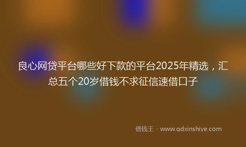 良心网贷平台哪些好下款的平台2025年精选，汇总五个20岁借钱不求征信速借口子