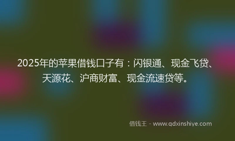 2025年的苹果借钱口子有：闪银通、现金飞贷、天源花、沪商财富、现金流速贷等。