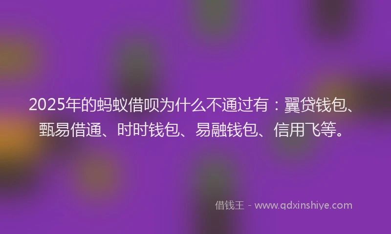 2025年的蚂蚁借呗为什么不通过有：翼贷钱包、甄易借通、时时钱包、易融钱包、信用飞等。